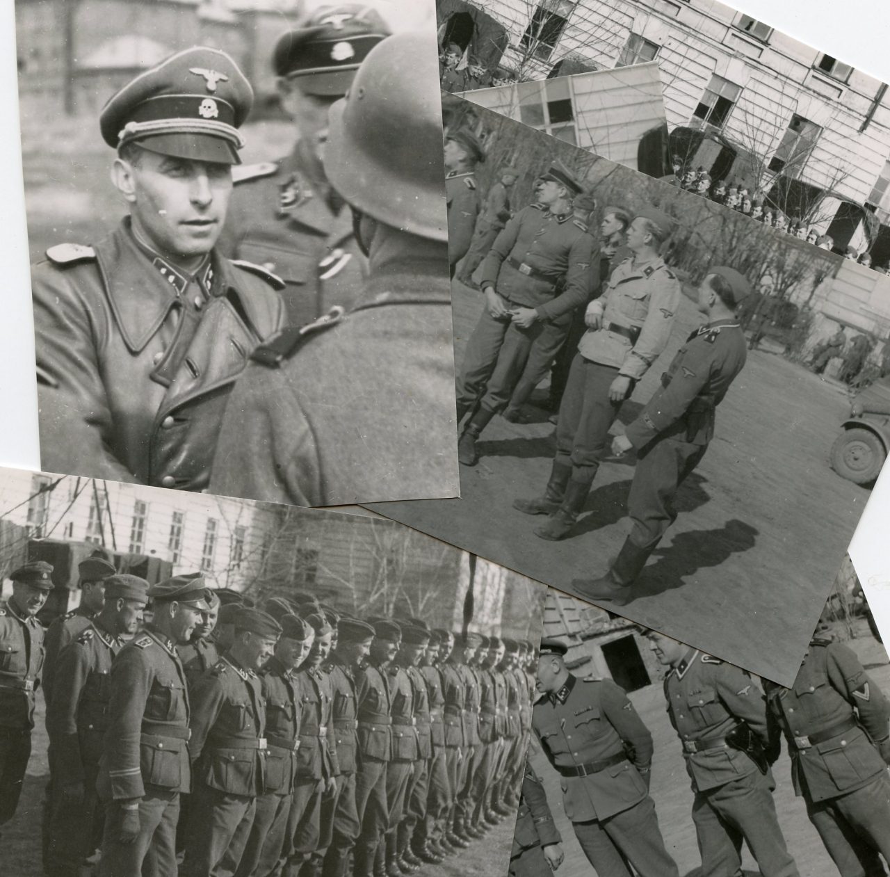 Ss Color Members SS photo group, large size - Generalassaultmilitaria