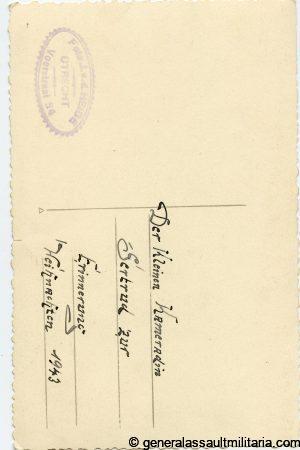 HG field division portrait with 10 year nsdap ribbon bar