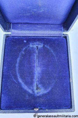 Early generic observer case
