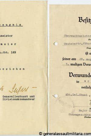 Sturmgeschütz-Abteilung 189 award document set