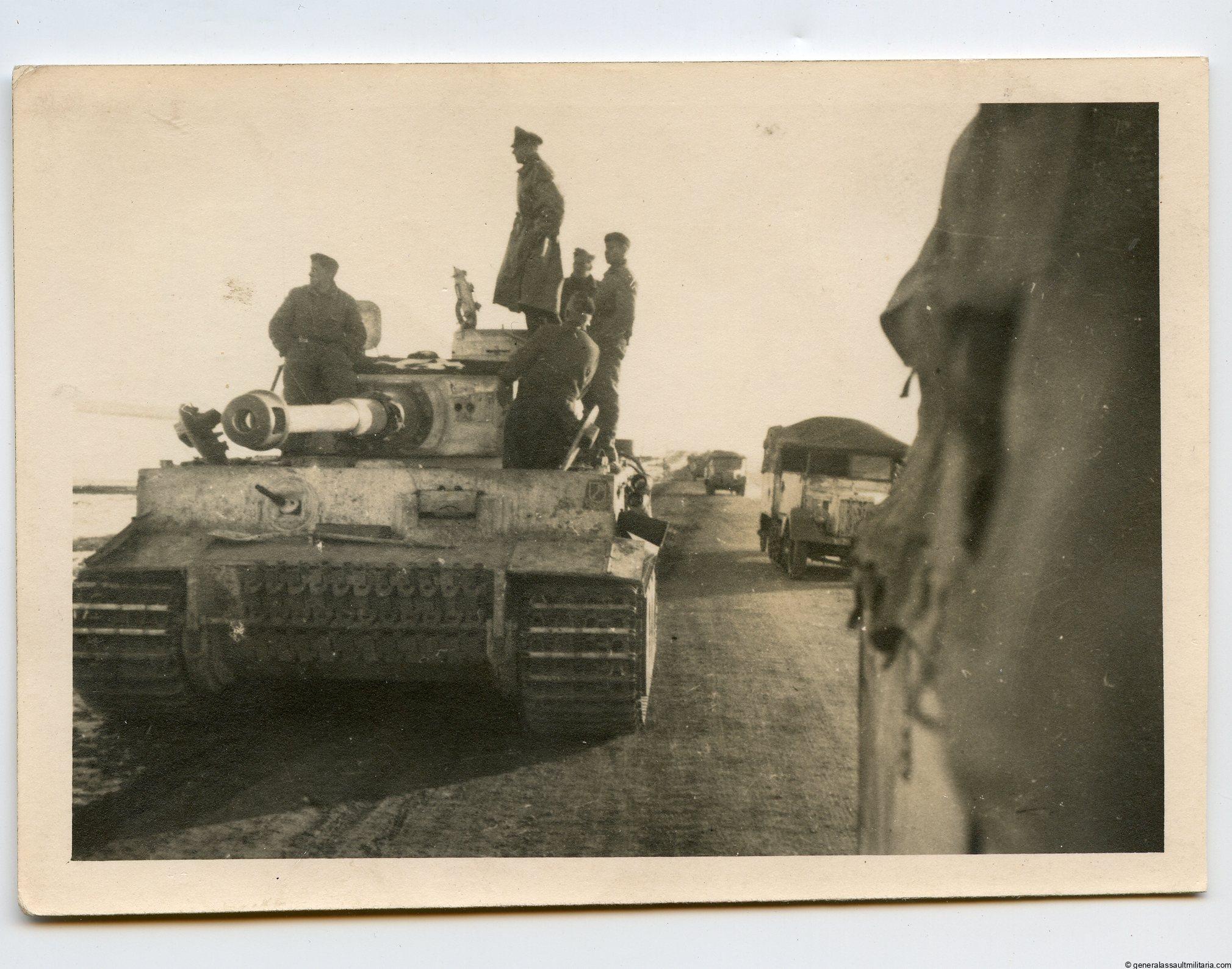 13x9.5cm LAH Tiger photo winter camo